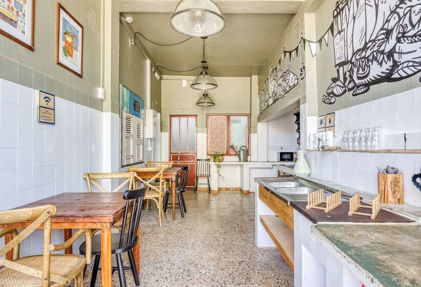 Отель Mute Hostel Milfontes