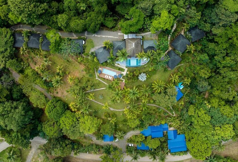 هتل The Tranquilo Lodge All Meals Included