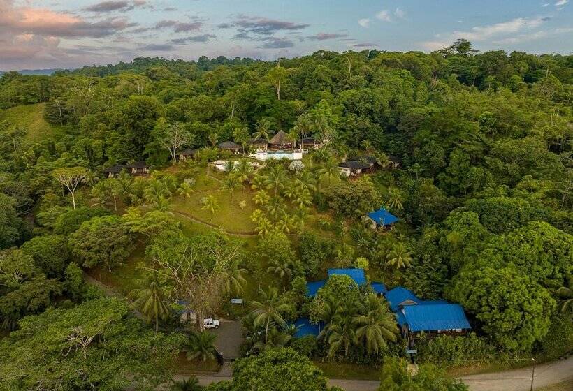 هتل The Tranquilo Lodge All Meals Included