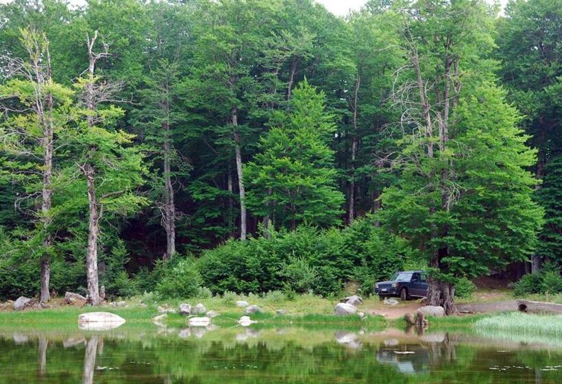 פנסיון Guesthouse Anastasia