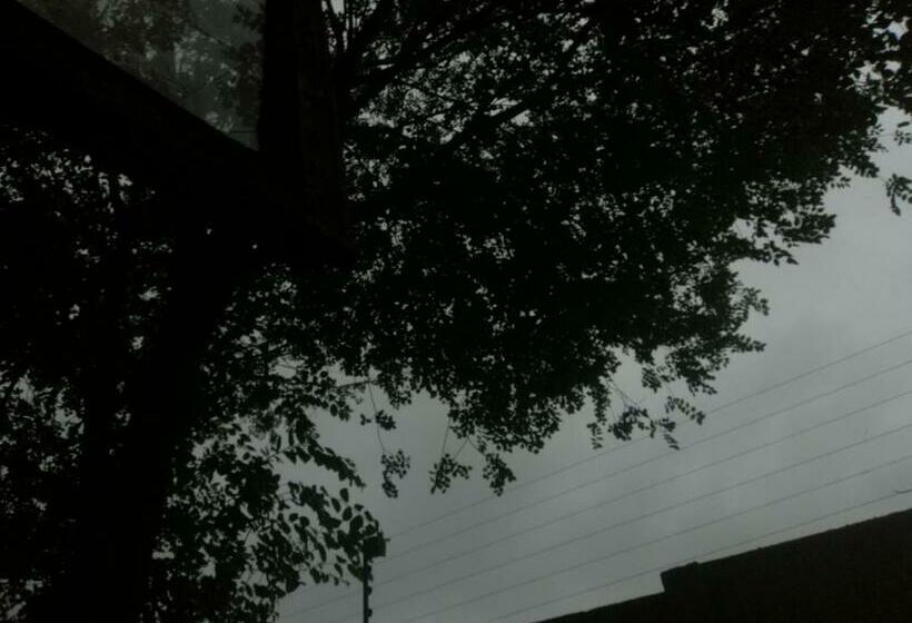 הוסטל Sabie Gypsy's Backpackers