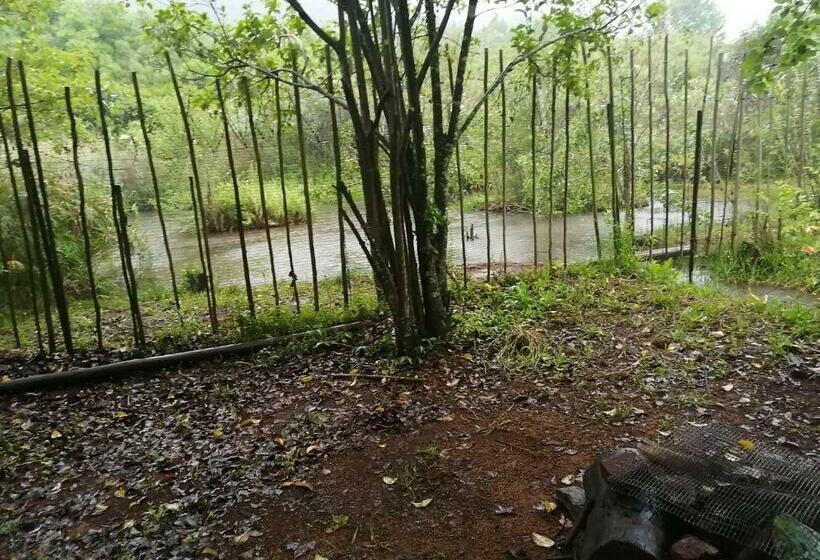 旅馆 Sabie Gypsy's Backpackers