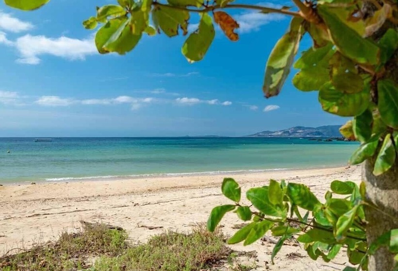 Beach Resort Hotel Kalakaua