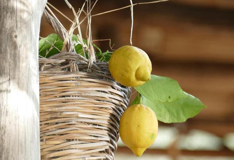 민박 Core Amalfitano City Suites