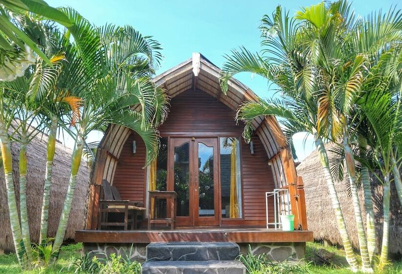 تختخواب و صبحانه Gilipaddy Resort
