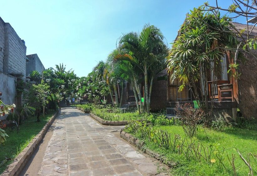 تختخواب و صبحانه Gilipaddy Resort