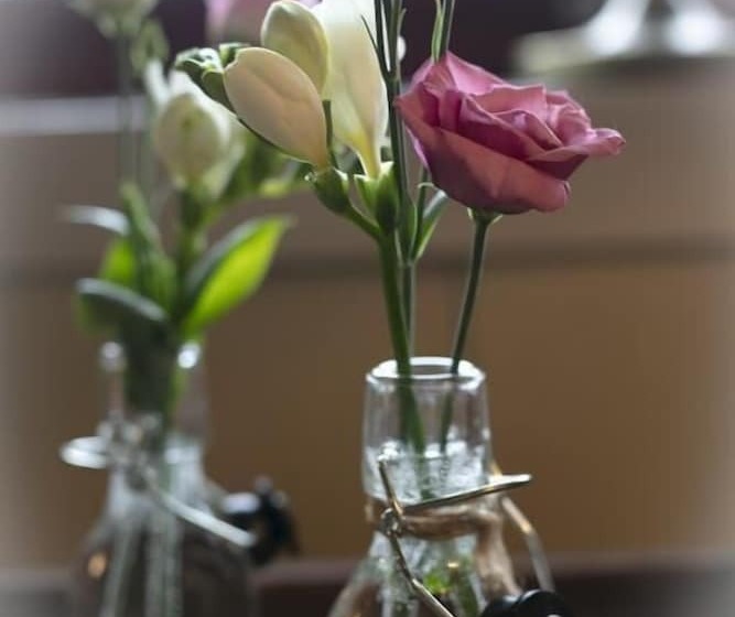 مبيت وإفطار Lifjellstua