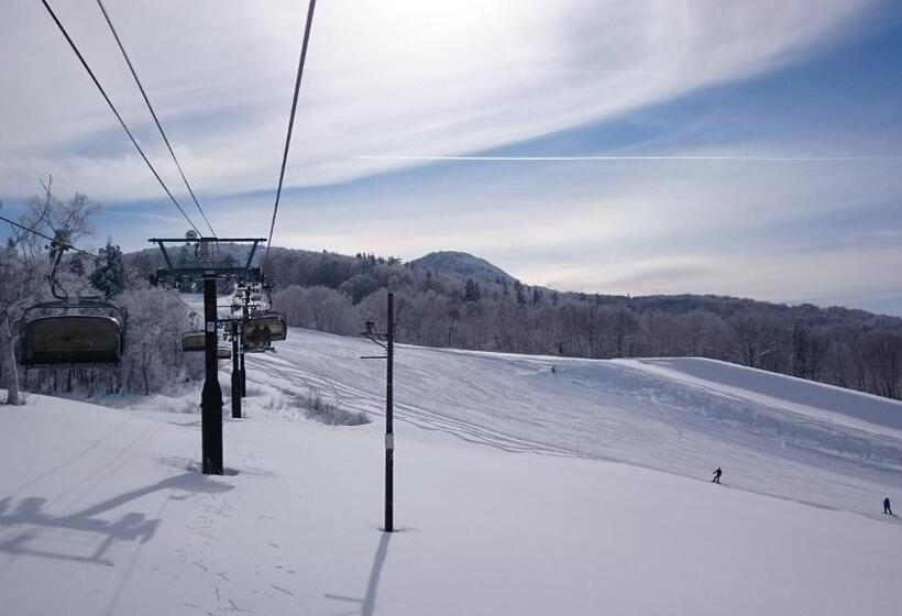 تختخواب و صبحانه Nozawa Dream Central