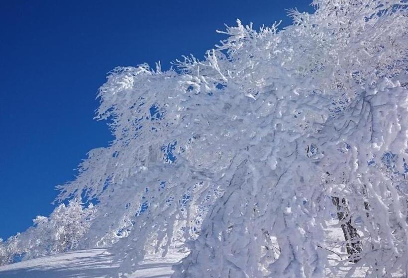 تختخواب و صبحانه Nozawa Dream Central