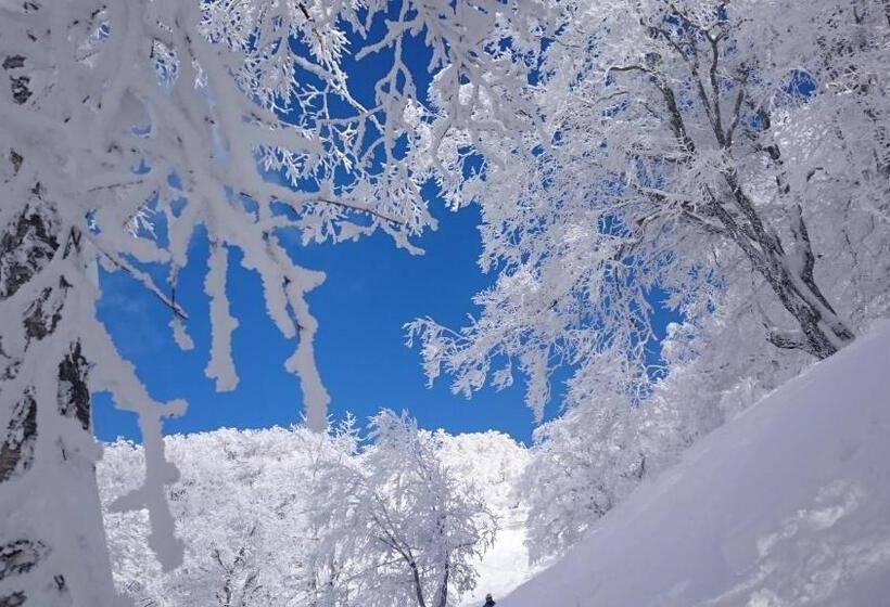 تختخواب و صبحانه Nozawa Dream Central