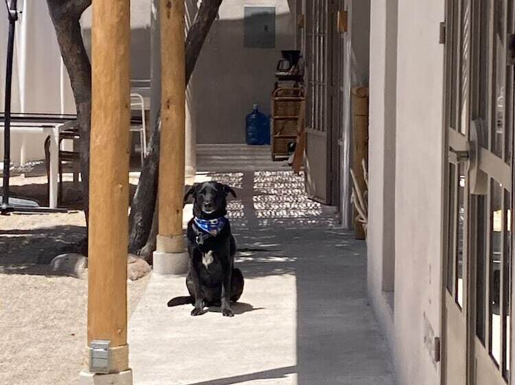 ベッドアンドブレックファースト The Mantarraya Outpost