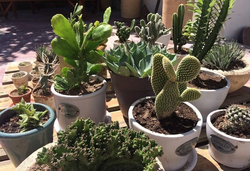 ベッドアンドブレックファースト The Mantarraya Outpost