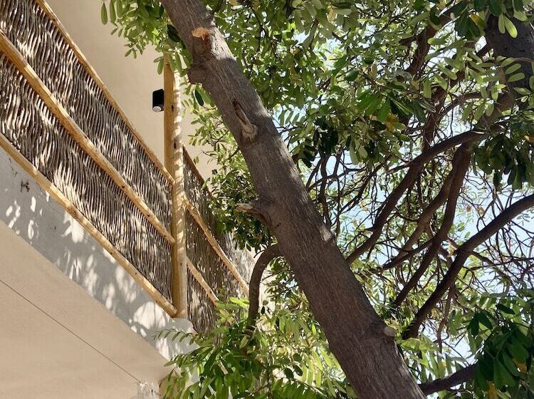 ベッドアンドブレックファースト The Mantarraya Outpost