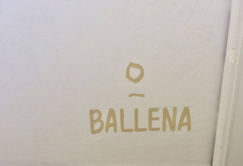 ベッドアンドブレックファースト The Mantarraya Outpost