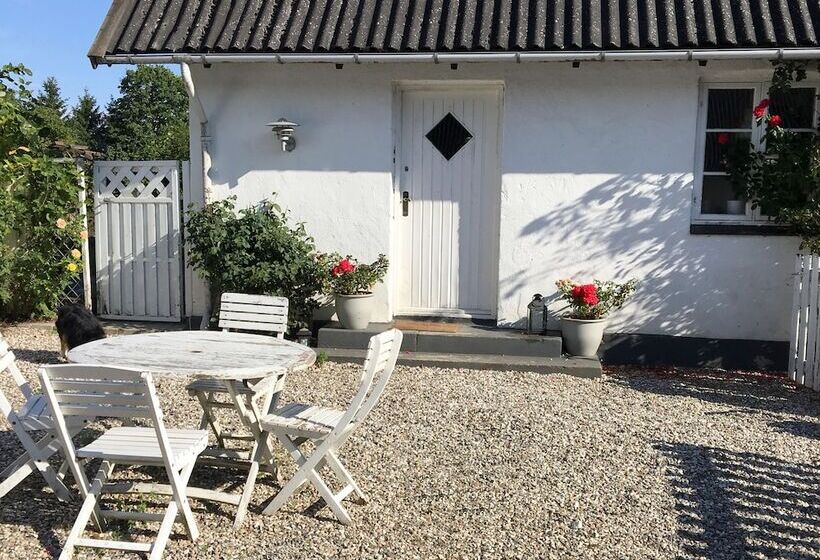 Ebogaard Bed And Breakfast