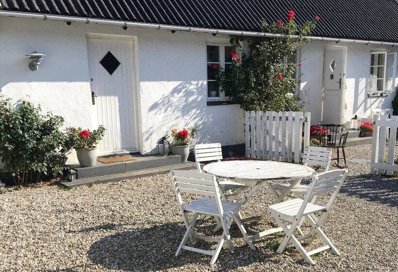 Ebogaard Bed And Breakfast