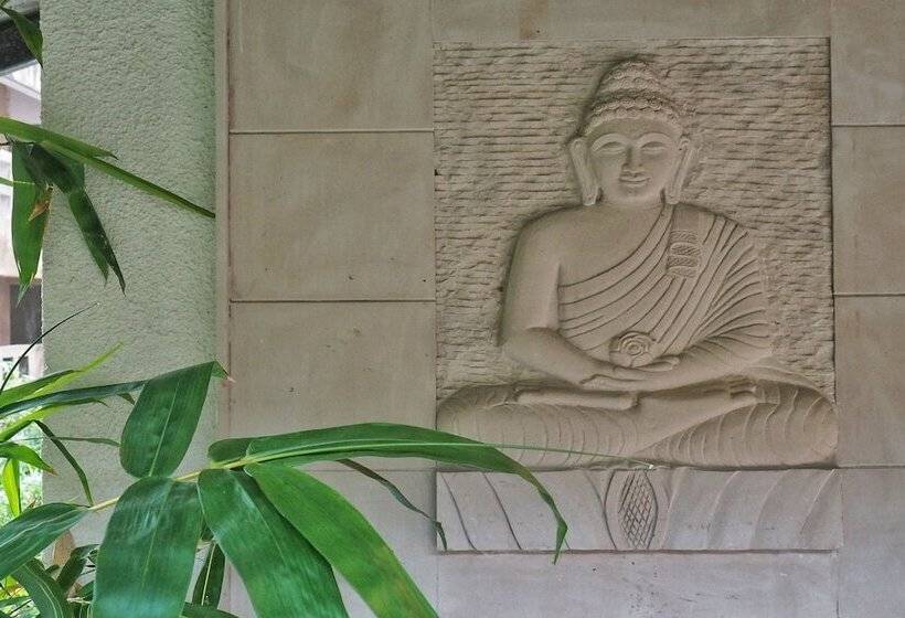 Anamiva, Goa   Am Hotel Kollection