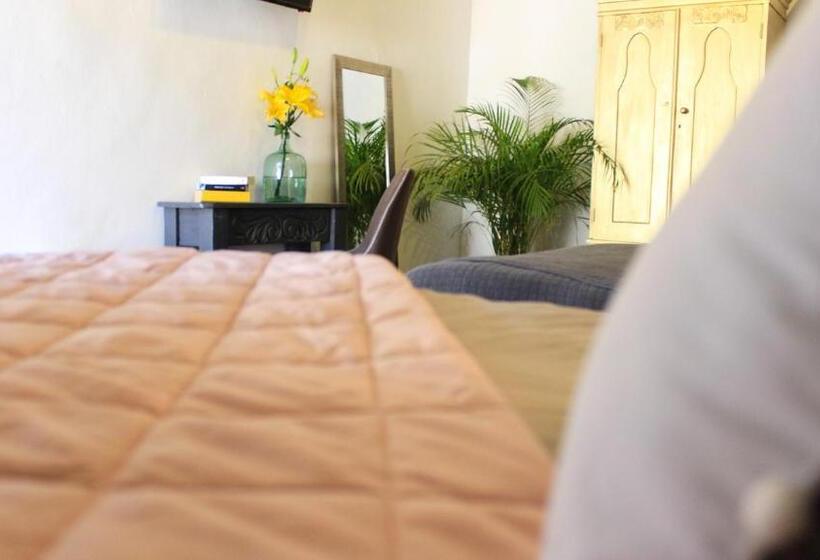 בית מלון כפרי Casa Lobe