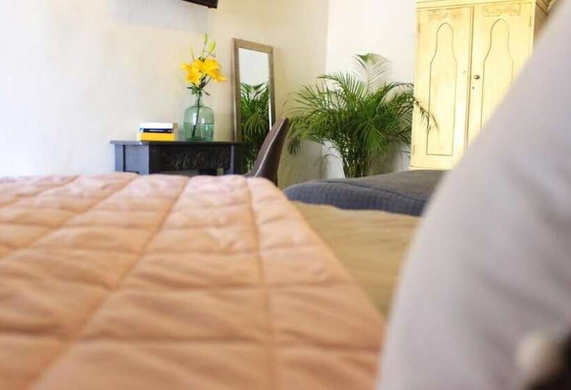 בית מלון כפרי Casa Lobe