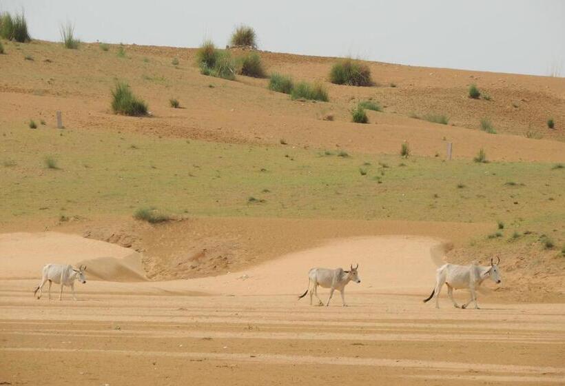 Dhulagarh Heritage Palace Hotel Near Jaipur