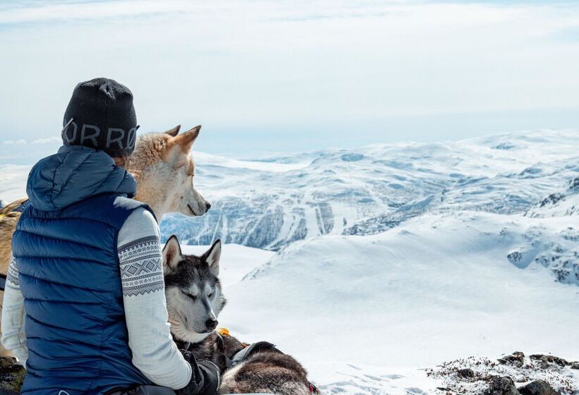 ホテル Fyri Resort