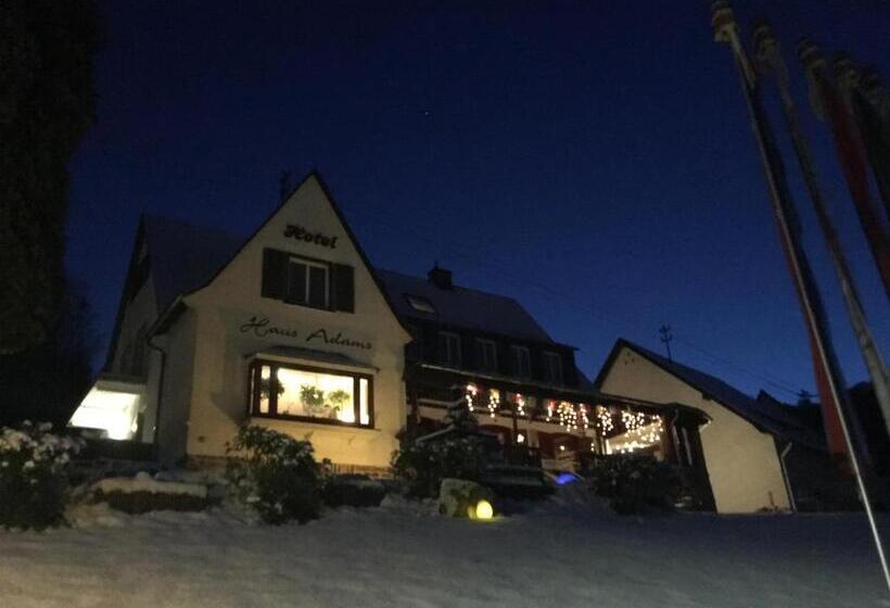 酒店 Haus Adams Das Wohlfühl Gästehaus