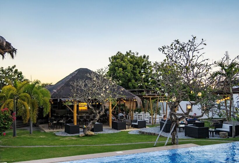 هتل Liquid Dive Resort