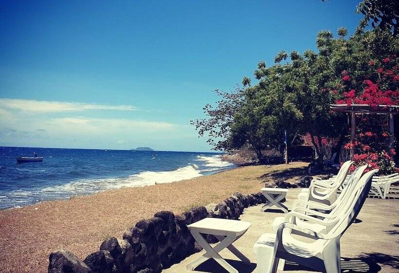 هتل Liquid Dive Resort