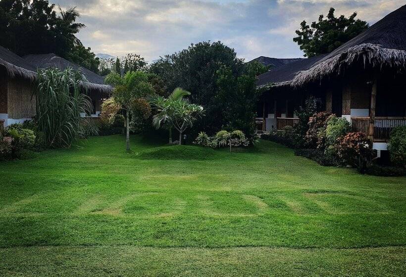 هتل Liquid Dive Resort