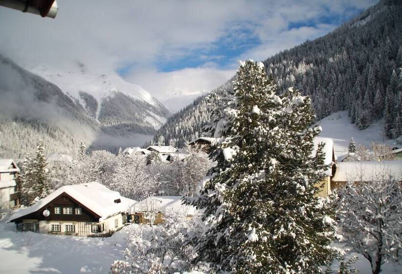 בית מלון כפרי Mallnitz Appartements