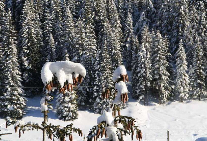 בית מלון כפרי Mallnitz Appartements