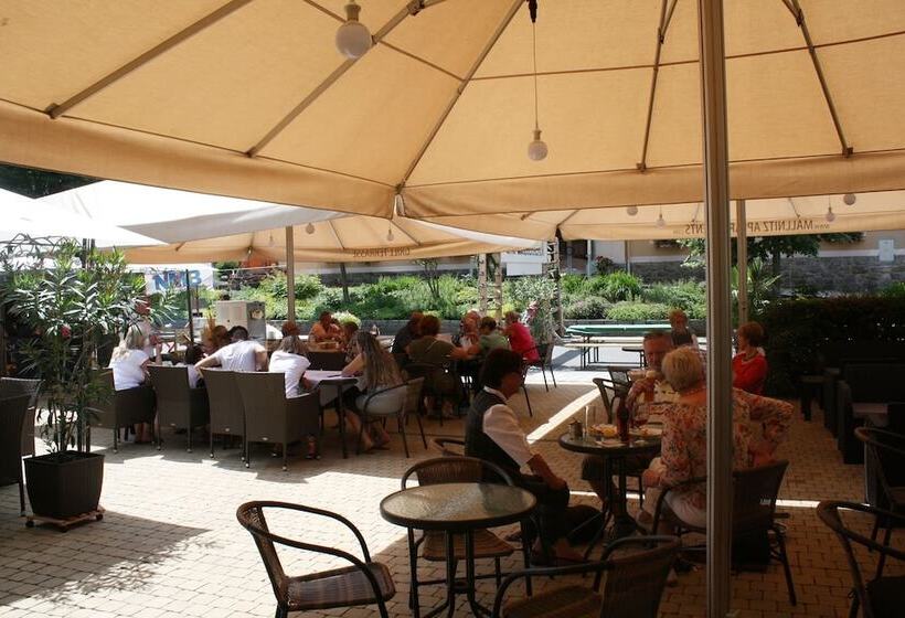 בית מלון כפרי Mallnitz Appartements