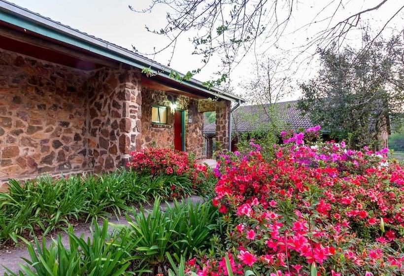 בית מלון כפרי Misty Mountain