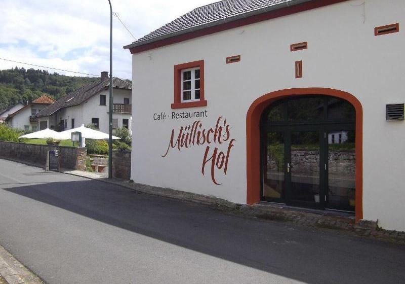 호텔 Müllisch's Hof