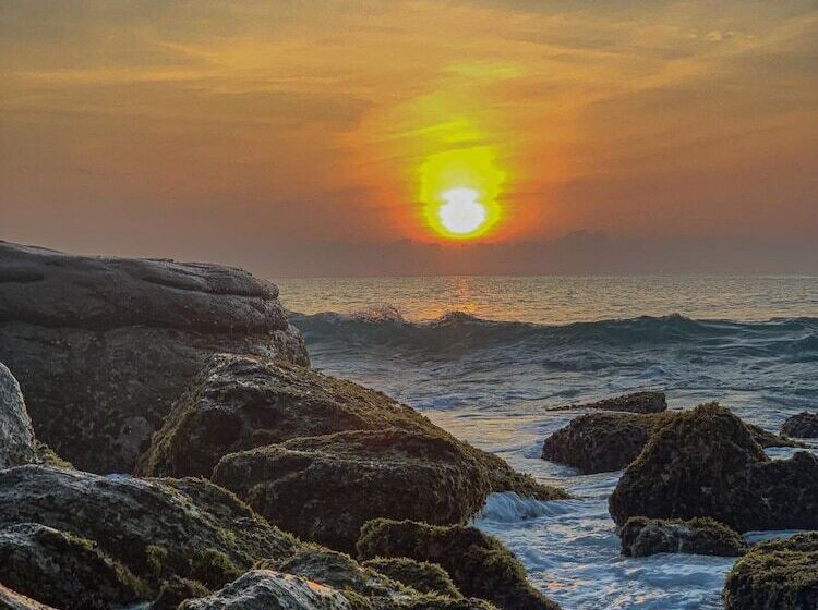 ホテル Nil Sisila Beach Resort Yala