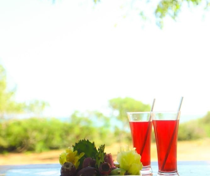 ホテル Nil Sisila Beach Resort Yala