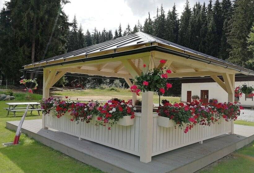 Отель Penzion Bílá Voda