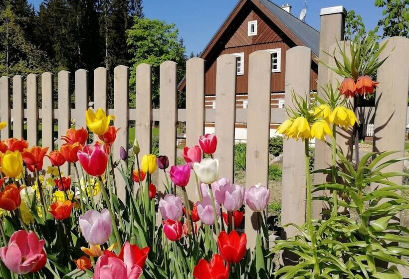 Отель Penzion Bílá Voda