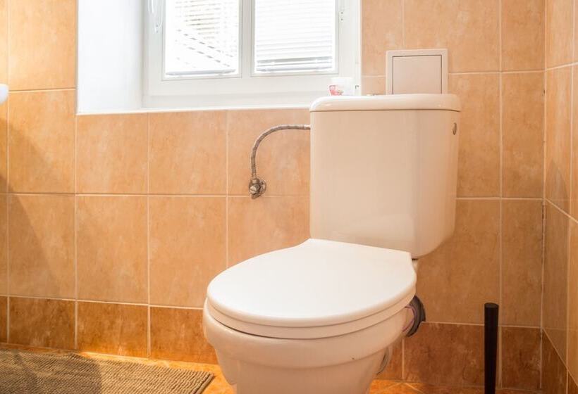 Отель Penzion Bílá Voda