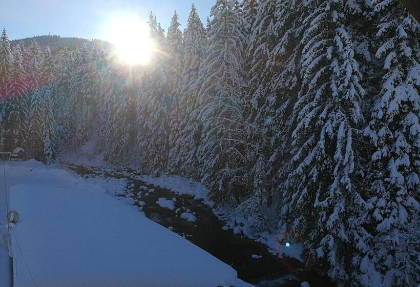 Отель Penzion Bílá Voda