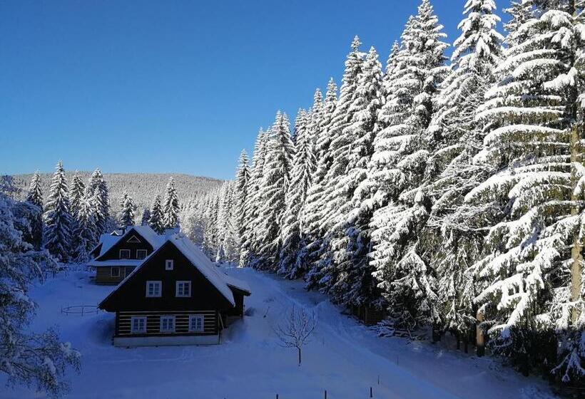 Отель Penzion Bílá Voda