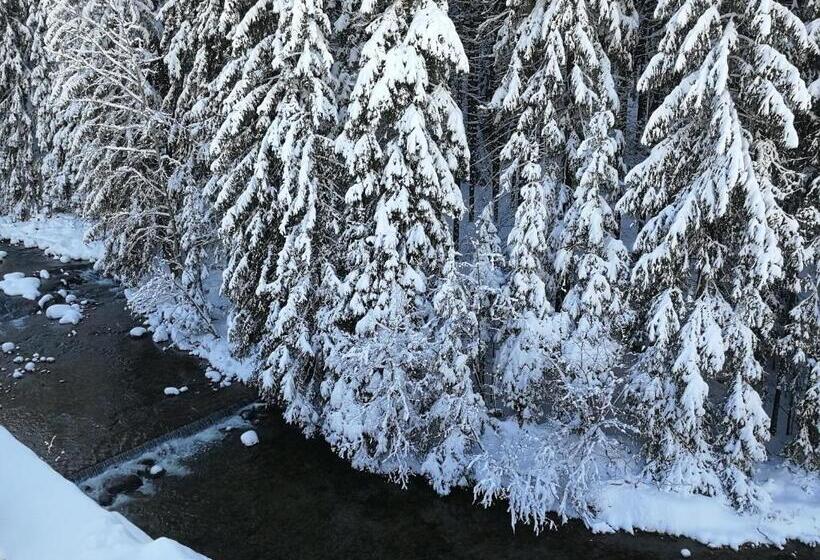 Отель Penzion Bílá Voda