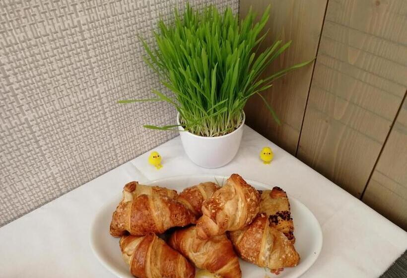 Отель Penzion Bílá Voda