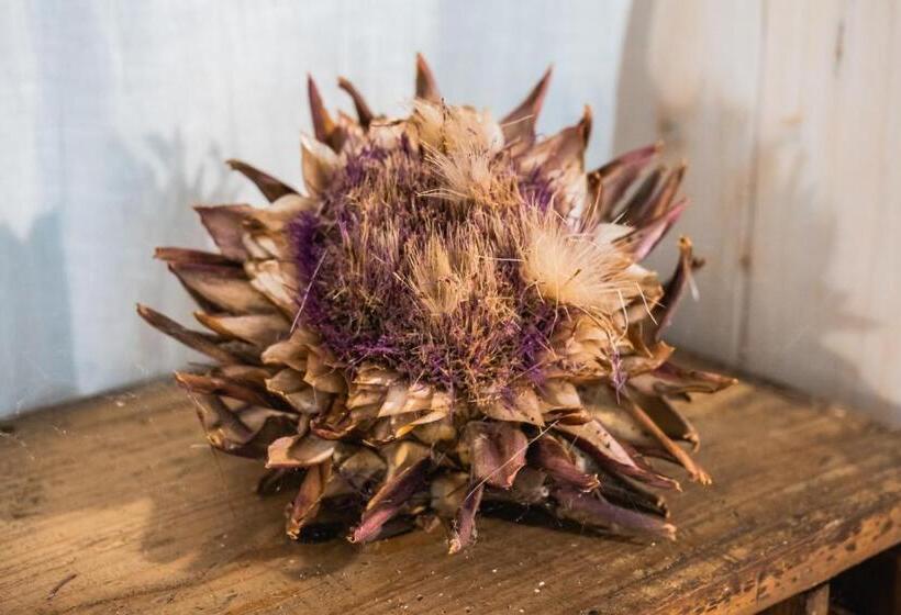 田舎風ホテル Ostello Dei Giardini Di Pomona