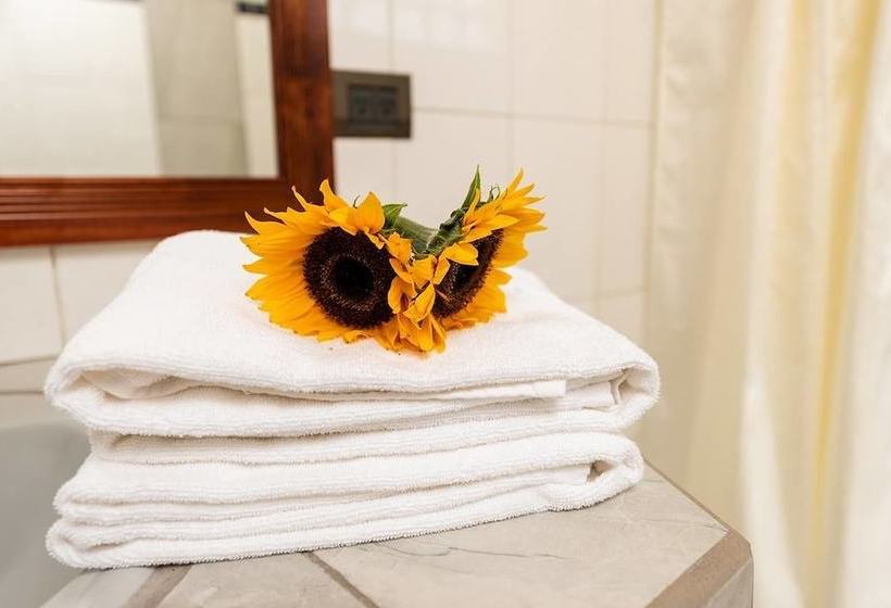 Отель Talamanca