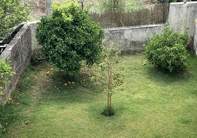 پانسیون Campanha Boutique Station