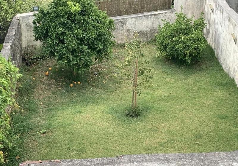 پانسیون Campanha Boutique Station