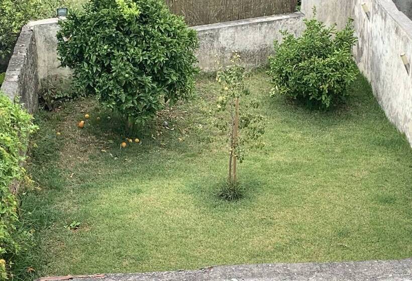 پانسیون Campanha Boutique Station