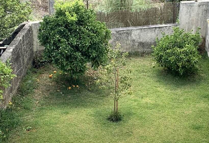 پانسیون Campanha Boutique Station