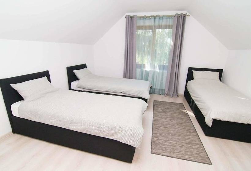 膳宿费 Continental Boutique Rooms